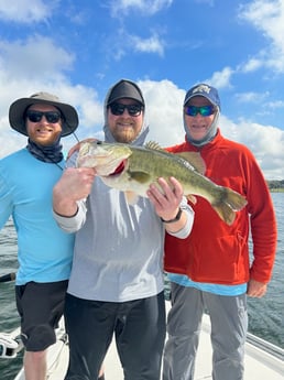 Largemouth Bass Fishing in Clearwater, Florida