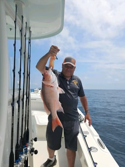 Red Snapper Fishing in Panama City, Florida