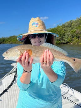 Redfish Fishing in Tarpon Springs, Florida