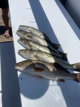 Fishing in Destin, Florida