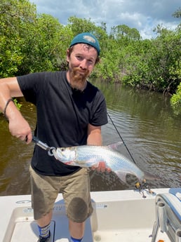 Tarpon fishing in Naples, Florida