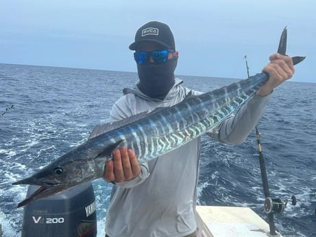 Wahoo Fishing in New Smyrna Beach, Florida