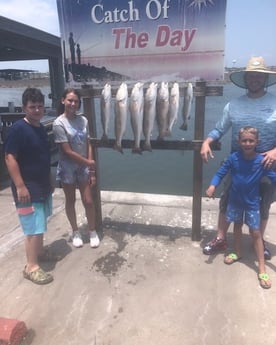 Redfish, Speckled Trout / Spotted Seatrout fishing in Rockport, Texas