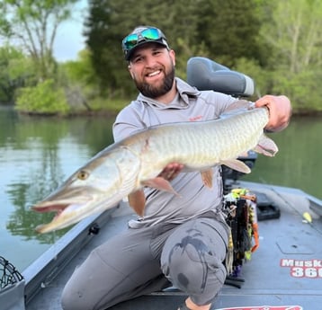 Fishing in Knoxville, Tennessee