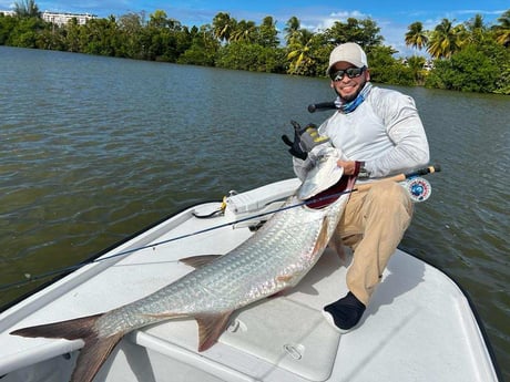 Tarpon Fishing in Carolina, Carolina