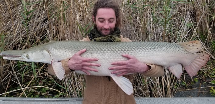 Alligator Gar fishing in Livingston, Texas