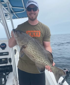 Gag Grouper fishing in Pensacola, Florida