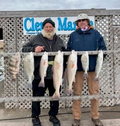 Black Drum, Redfish, Sheepshead, Speckled Trout / Spotted Seatrout Fishing in Corpus Christi, Texas