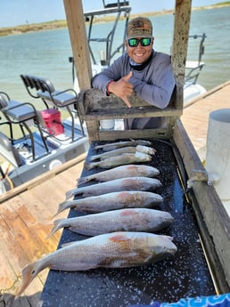 Redfish, Speckled Trout / Spotted Seatrout Fishing in Rio Hondo, Texas