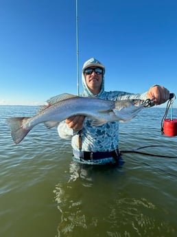 Fishing in Corpus Christi, Texas