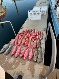 Fishing in Islamorada, Florida