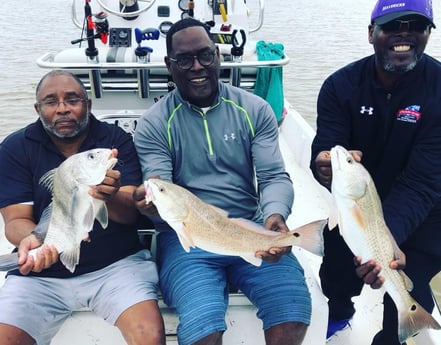 Black Drum, Redfish fishing in Surfside Beach, Texas