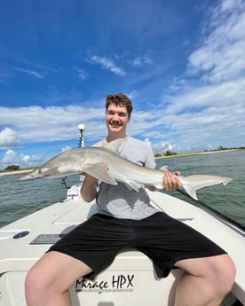 Bonnethead Shark fishing in Wrightsville Beach, North Carolina