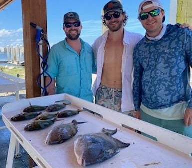 Triggerfish Fishing in Jacksonville, Florida