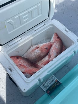 Fishing in Freeport, Texas