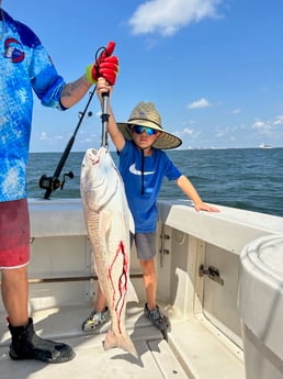 Red Snapper Fishing in Galveston, Texas