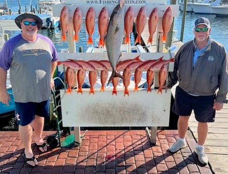 Amberjack, Red Snapper Fishing in Destin, Florida