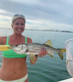 Snook fishing in Sarasota, Florida