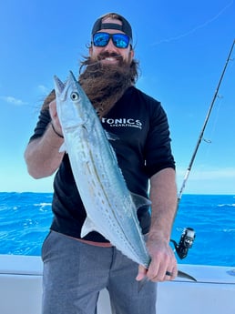 Cero Mackerel Fishing in Islamorada, Florida