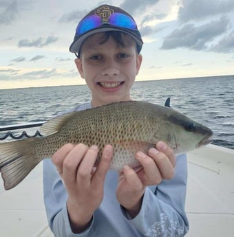 Mangrove Snapper Fishing in Islamorada, Florida