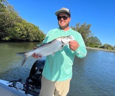 Tarpon Fishing in Sarasota, Florida