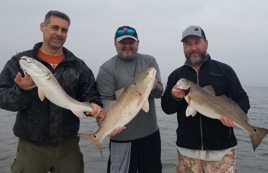 Redfish fishing in Sulphur, Louisiana