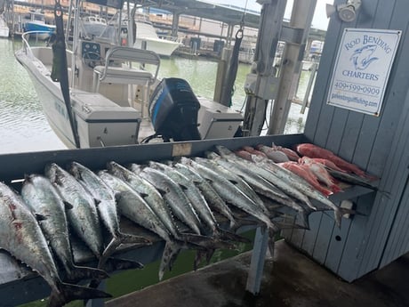 Red Snapper, Spanish Mackerel fishing in Galveston, Texas