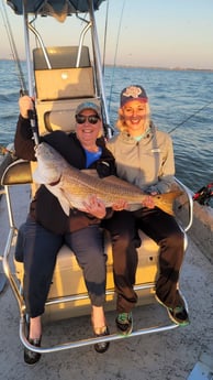 Redfish, Sheepshead fishing in Port Aransas, Texas