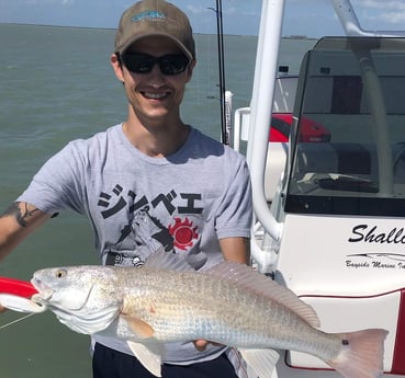 Redfish fishing in South Padre Island, Texas