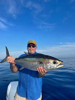 Blackfin Tuna Fishing in Key West, Florida