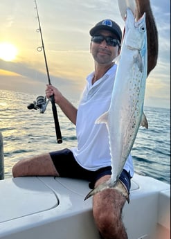 Spanish Mackerel Fishing in Marathon, Florida