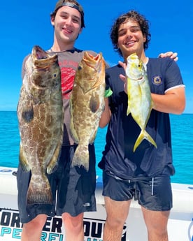 Black Grouper fishing in Islamorada, Florida