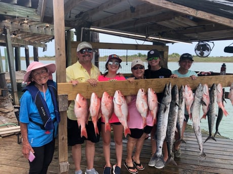 Barracuda, King Mackerel / Kingfish, Red Snapper fishing in Port O&#039;Connor, Texas