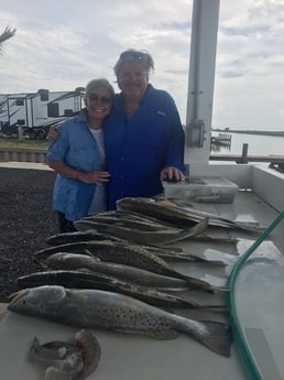 Speckled Trout / Spotted Seatrout fishing in Galveston, Texas