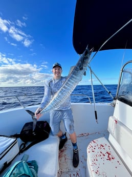 Wahoo Fishing in Miami, Florida