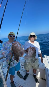 Red Grouper fishing in Sarasota, Florida