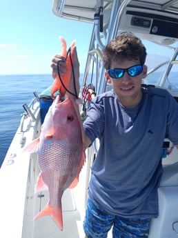 Red Snapper fishing in Clearwater, Florida