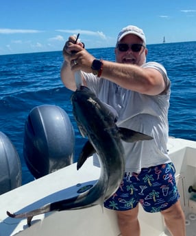 Cobia fishing in Marathon, Florida