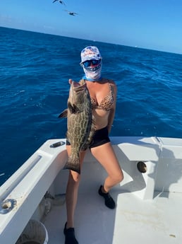 Black Grouper fishing in Marathon, Florida