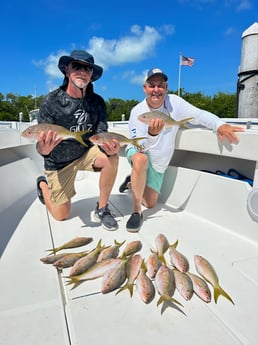 Yellowtail Snapper Fishing in Islamorada, Florida