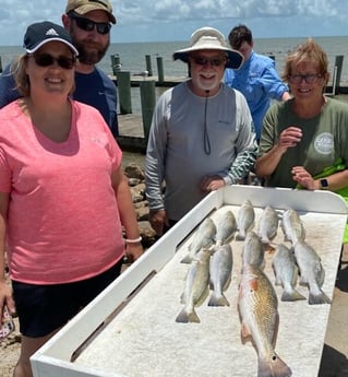 Redfish, Speckled Trout / Spotted Seatrout fishing in Texas City, Texas