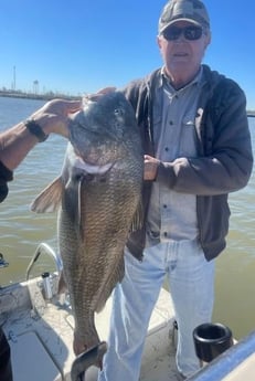 Black Drum Fishing in Galveston, Texas