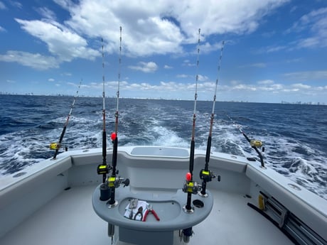 Fishing in Fort Lauderdale, Florida