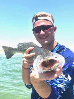 Speckled Trout / Spotted Seatrout fishing in Port Aransas, Texas