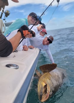 Goliath Grouper fishing in Clearwater, Florida