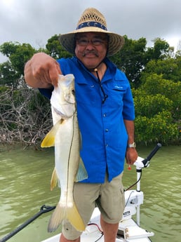 Snook fishing in Tavernier, Florida