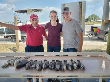 Black Seabass, Triggerfish Fishing in Jacksonville, Florida