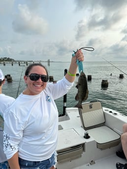 Fishing in Cape Coral, Florida