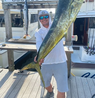 Mahi Mahi / Dorado, Wahoo fishing in Destin, Florida