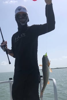 Redfish fishing in South Padre Island, Texas